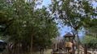 米国統治の名残り！