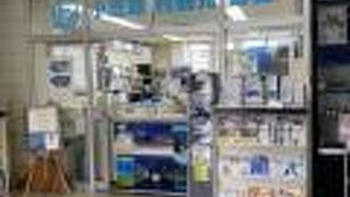 いろいろな小笠原観光の情報が！