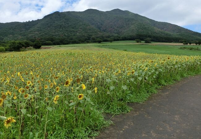 蒜山高原のおすすめ観光スポット クチコミ人気ランキングtop フォートラベル 岡山県