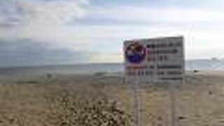 人の姿がほとんどありませんでした