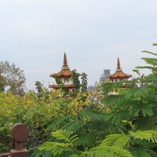 上部しか見えません