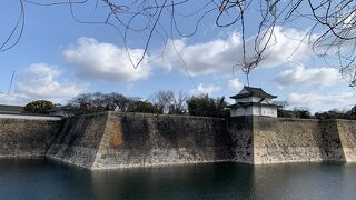 たっぷり歩きました。