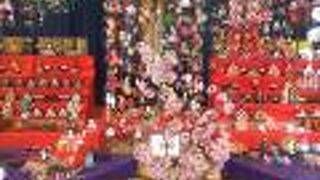 2月から桜を楽しめます