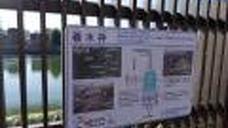 手賀沼の自然環境などを紹介