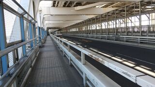 レインボーブリッジを歩く