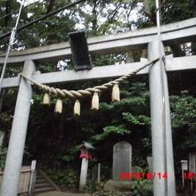 児玉神社の鳥居の奥にあるのが歌碑