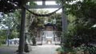 陸軍大将「児玉源太郎」さんの霊をまつってあります