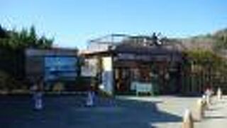 想像以上に見ごたえありました