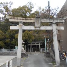 有松天満社鳥居