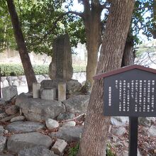 今川治部大輔義元の墓