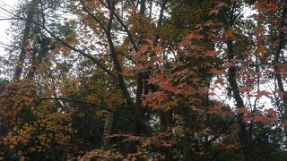 南海学園 台北植物園
