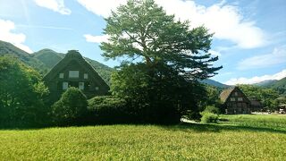 世界遺産白川郷合掌造り集落