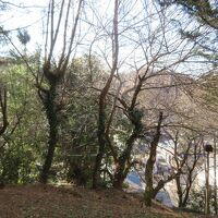 客室からの眺め