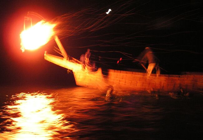 美しい鵜飼のショー