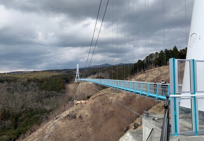 三島スカイウォーク クチコミ アクセス 営業時間 三島 フォートラベル 三島スカイウォーク クチコミ アクセス 営業時間 三島 フォートラベル