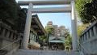 大きな鳥居の先に