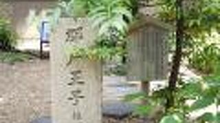 隣には熊野速玉大社ゆかりの椰の木