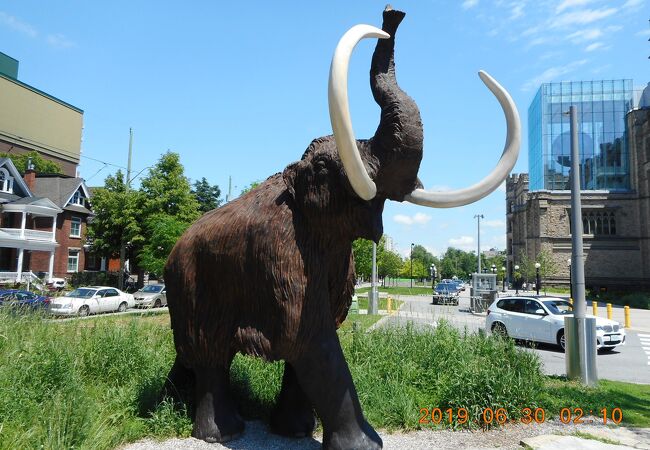 カナダ国立自然博物館 クチコミ アクセス 営業時間 オタワ フォートラベル