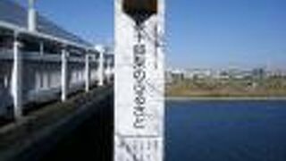 現在では希少な梨