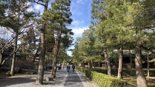 とても広いです。