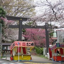 現地の様子