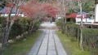 枯山水も見どころよ