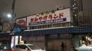 レトロ観光名所　新二条市場も併設されている