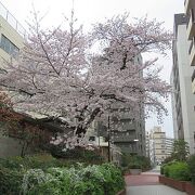 桃園川の流路跡に