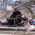 桜と雪と四季折々茅葺屋根の素敵な駅舎