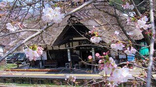 桜と雪と四季折々茅葺屋根の素敵な駅舎
