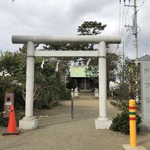 鳥居越しに見た本殿