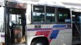 路線バス (徳島バス)