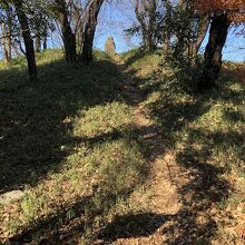 安楽寺の裏山にある