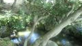 かつては隅田川の水を引き入れる水位調整の役割をしていました