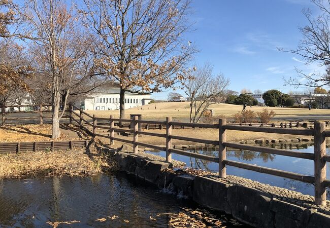 さむかわ中央公園 クチコミ アクセス 営業時間 茅ヶ崎 フォートラベル さむかわ中央公園 クチコミ アクセス 営業時間 茅ヶ崎 フォートラベル