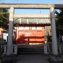 正面の姿です。