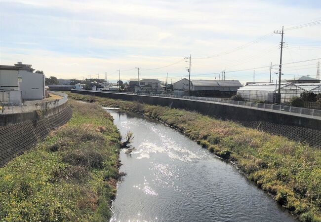 目久尻川 クチコミ アクセス 営業時間 海老名 座間 綾瀬 フォートラベル