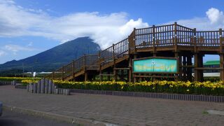 フラワーパーキング (展望台)