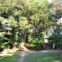 山頂;社叢林は自然林として県)天然記念物に指定