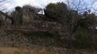 丹鶴城祉　新宮城とも言う