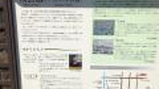 木陰が気持ちい憩いの公園