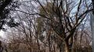 広くて良いです