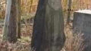 割れているけど