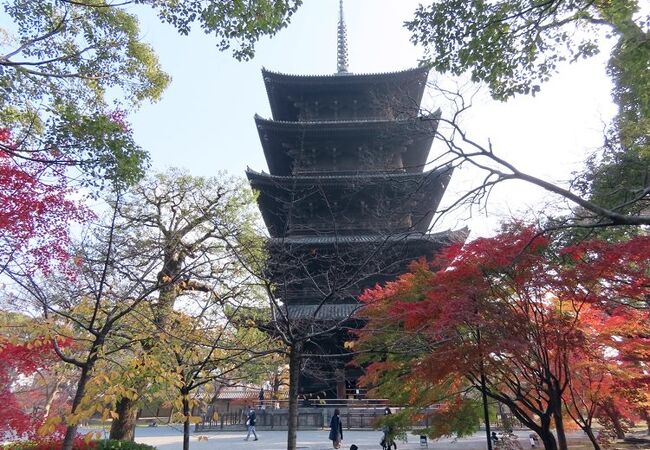 東寺 五重塔 クチコミ アクセス 営業時間 京都駅周辺 フォートラベル 東寺 五重塔 クチコミ アクセス 営業時間 京都駅周辺 フォートラベル