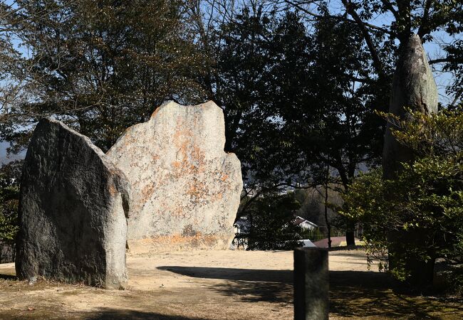 摩訶不思議な