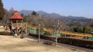 ローラースライダーにはびっくり