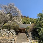 小栗上野介の菩提寺