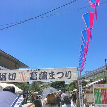 毎年初夏に開催