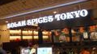 本格的なインドカレー