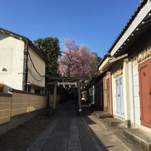 お神輿の倉が並びます